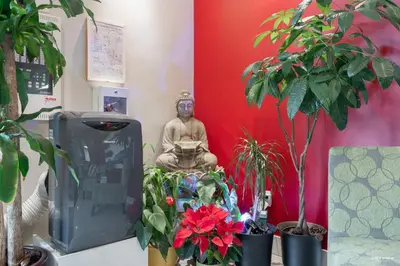 a statue of a buddha in a room with plants at Queens Hotel in New Westminster