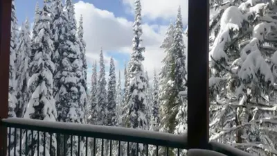 a view of a snow covered forest from a window at Vacation Homes by The Bulldog- Berker's Suite A in Silver Star