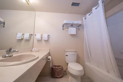 a bathroom with a sink and a toilet and a shower at Argyll Plaza Hotel in Edmonton