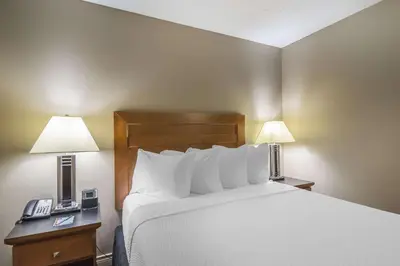 a hotel room with a bed with two lamps and a phone at Quality Inn West Edmonton in Edmonton