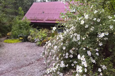 a bush with pink flowers in front of a building at The Cabin at Moon Dance in Garden Bay