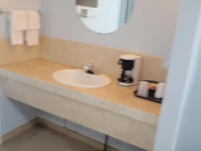 a bathroom counter with a sink and a coffee maker at Trans Canada Motel in Kamloops