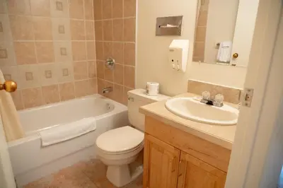 a bathroom with a toilet and a tub and a sink at Rocky Mountain Ski Lodge in Canmore