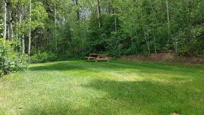 a wooden bench sitting in the middle of a field at Akiskinook Sandy Beach Lakefront Resort! Tennis, Pickle, Basket Ball Courts, Indoor Pool, Hot Tub, Squash Court! Short Drive to Radium or Fairmont Hot Springs! in Invermere