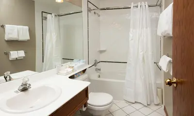 a bathroom with a sink and a toilet and a shower at Whistler's Inn in Jasper