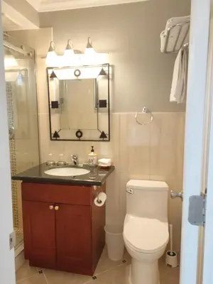 a bathroom with a toilet and a sink and a mirror at Semi Centre House in White Rock