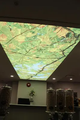 a large painting on the ceiling of a room at The Royal Anne Hotel in Kelowna