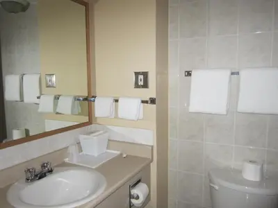 a bathroom with a sink and a toilet and a mirror at Star Lodge in Kamloops