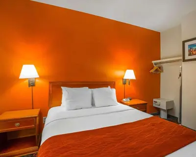 a bed in a hotel room with an orange wall at Comfort Inn & Suites University in Calgary