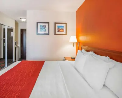 a hotel room with a large bed with white pillows at Comfort Inn & Suites University in Calgary