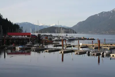 a group of boats docked at a dock in the water at The Classic Horseshoe Bay Motel in Horseshoe Bay