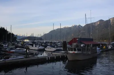 a bunch of boats are docked in a marina at The Classic Horseshoe Bay Motel in Horseshoe Bay
