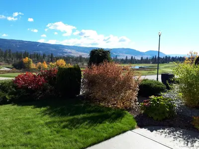 a garden with bushes and flowers in a yard at Quail Ridge in Kelowna