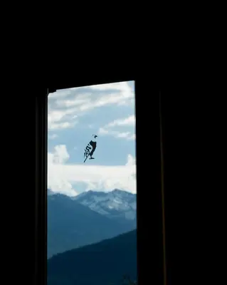 a person is flying in the air in front of a window at The Sentinel in Kaslo