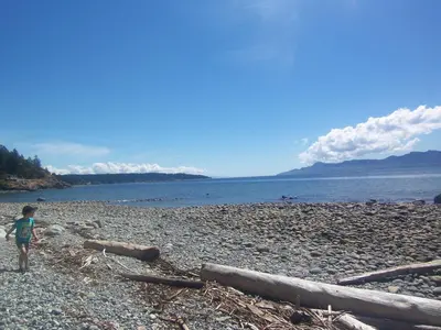 a young boy standing on a beach near the water at Malaspina Strait Cottage in Powell River