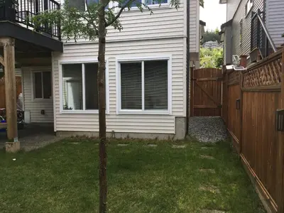 a small tree in a yard next to a house at Albion Stay in Maple Ridge District Municipality