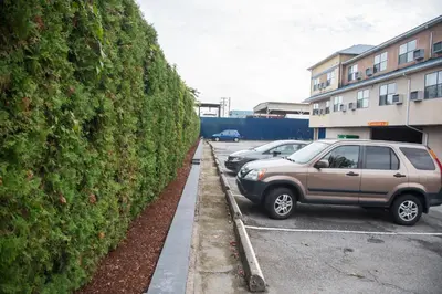 a car parked in a parking lot next to a hedge at Happy Day Inn in Burnaby
