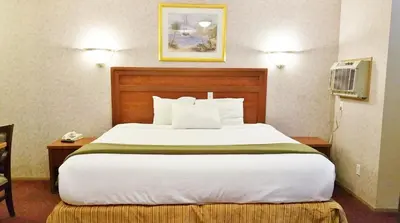 a bedroom with a large white bed with a telephone at Alpine Motel in Kamloops