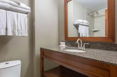 a bathroom with a sink and a mirror and a toilet at Canmore Inn & Suites in Canmore