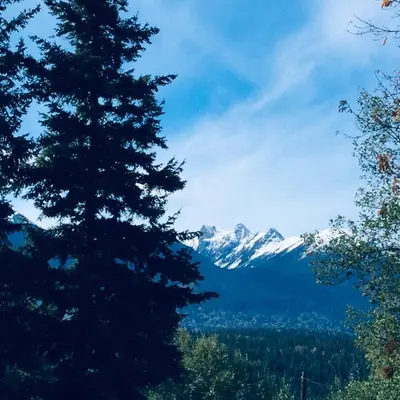 a view of a mountain from between two trees at Brookside Motel in Golden