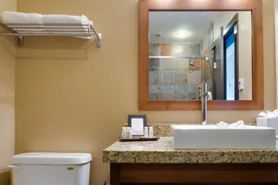 a bathroom with a sink and a toilet and a mirror at Silver Creek Lodge in Canmore