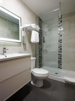 a bathroom with a toilet and a sink and a shower at Fernie Fox Hotel in Fernie