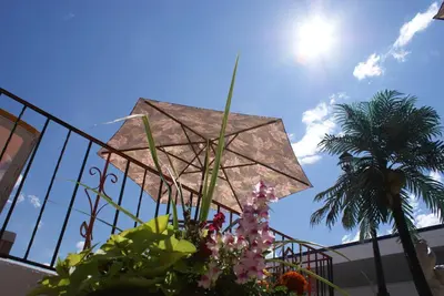 a kite is flying in the sky with plants at Riverside Motel in Penticton