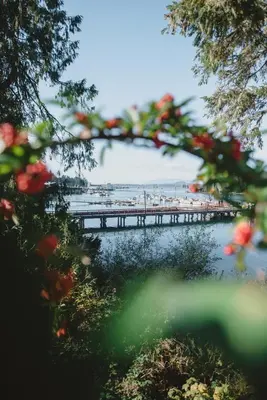 a pier over the water with a beach in the background at The Shoreline Tofino in Tofino