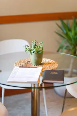 a potted plant sitting on top of a glass table at The Shoreline Tofino in Tofino