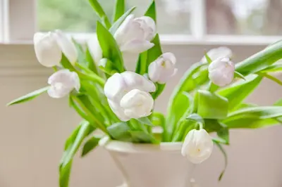a bouquet of white flowers in a white vase at Fairholme Manor Inn in Victoria