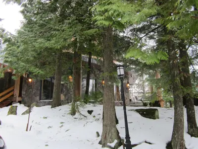 a street light in the snow in front of trees at The Lodge At Skeena Landing in Terrace