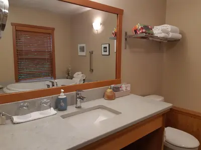 a bathroom with a sink and a toilet and a mirror at Reef Point Oceanfront Bed and Breakfast in Ucluelet