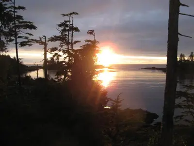 a sunset over the ocean with trees in the foreground at Reef Point Oceanfront Bed and Breakfast in Ucluelet