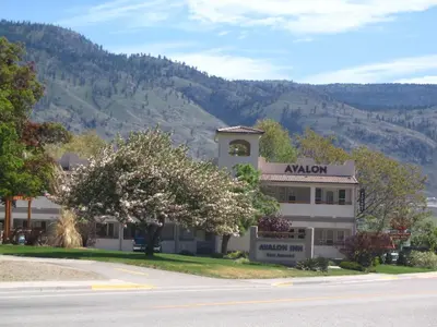 a building with a tree in front of a mountain at Avalon Inn in Osoyoos