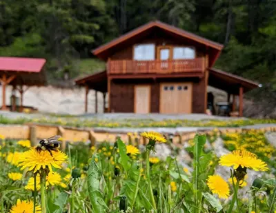 a house with a bee in a field of yellow flowers at Tschurtschenthaler Lodge in Golden