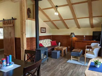 a living room with a wood stove in a room at Tschurtschenthaler Lodge in Golden