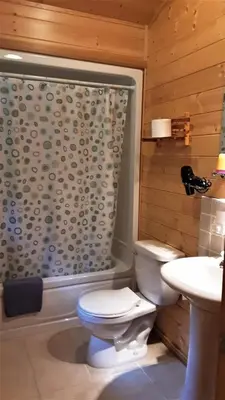 a bathroom with a toilet and a shower and a sink at Tschurtschenthaler Lodge in Golden