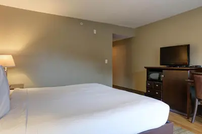 a hotel room with a bed and a flat screen tv at Vedder River Inn in Chilliwack