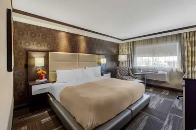 a hotel room with a large bed and a window at Best Western Plus Edmonton Airport Hotel in Leduc