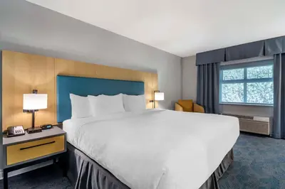 a hotel room with a large bed and a window at Clarion Hotel & Conference Centre in Abbotsford