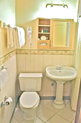a bathroom with a toilet and a sink at Harrison Hot Springs Resort & Spa in Harrison Hot Springs