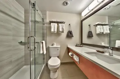 a bathroom with a toilet and a shower and a sink at Sun Peaks Lodge in Sun Peaks