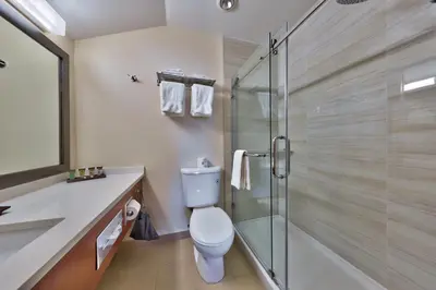 a bathroom with a toilet and a glass shower at Sun Peaks Lodge in Sun Peaks