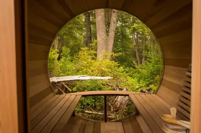 a round window in a tree house with a forest at Hotel Zed Tofino in Tofino