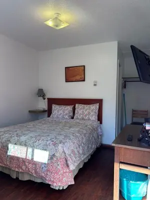 a bedroom with a bed and a desk and a television at Dolphin Motel in Tofino