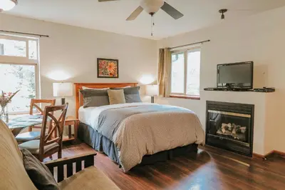 a bedroom with a bed and a fireplace and a tv at Cobble Wood and Bird Sanctuary Guest Houses in Tofino