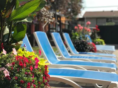 a row of blue lounge chairs next to some flowers at Sahara Courtyard Inn & Suites Osoyoos in Osoyoos