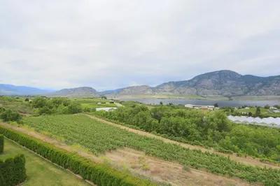 an aerial view of a vineyard and a river and mountains at Shiraz Villa in Osoyoos