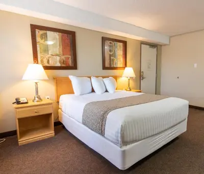 a hotel room with a large bed and two lamps at BCMInns - Lloydminster in Lloydminster