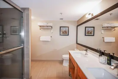 a bathroom with a toilet and a sink and a shower at Coast Hillcrest Hotel in Revelstoke